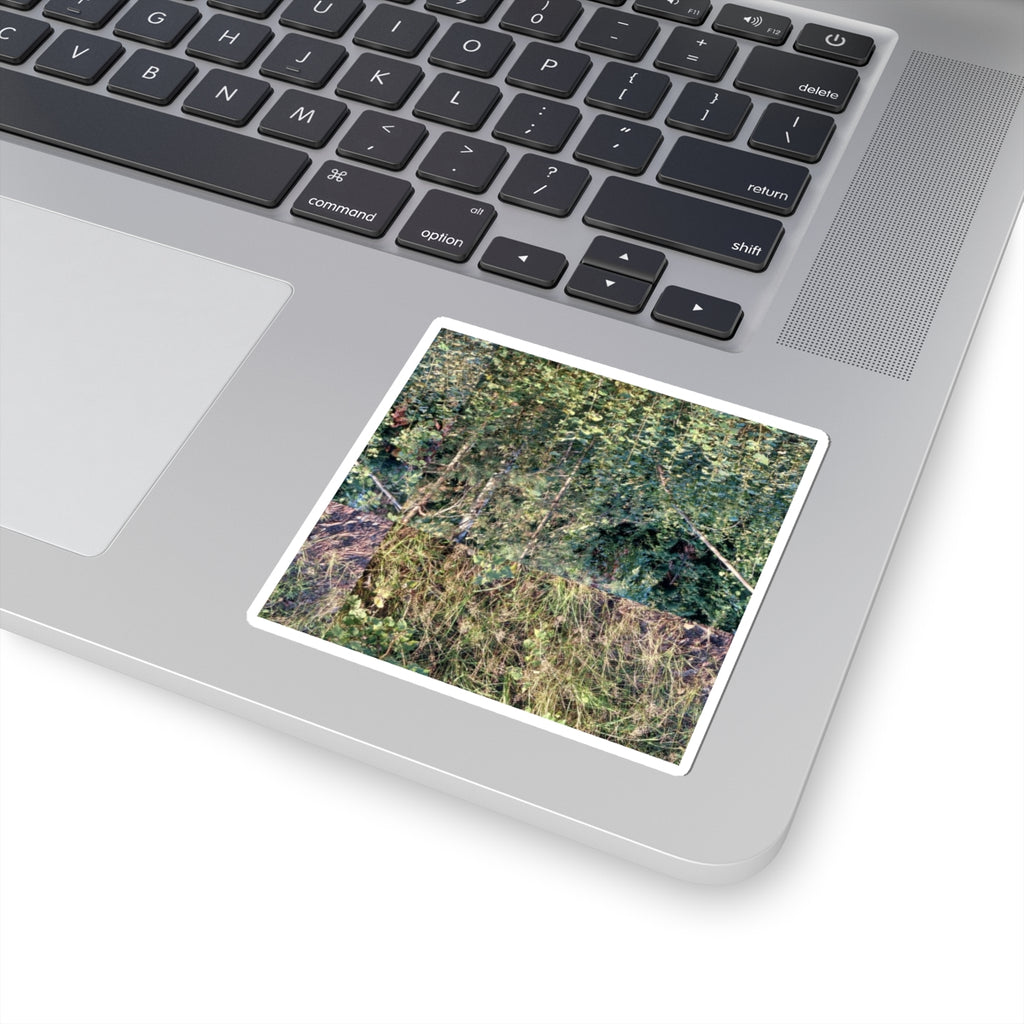 Nature Photo Sticker — Verdant Forest & Meadow Kiss-Cut Sticker