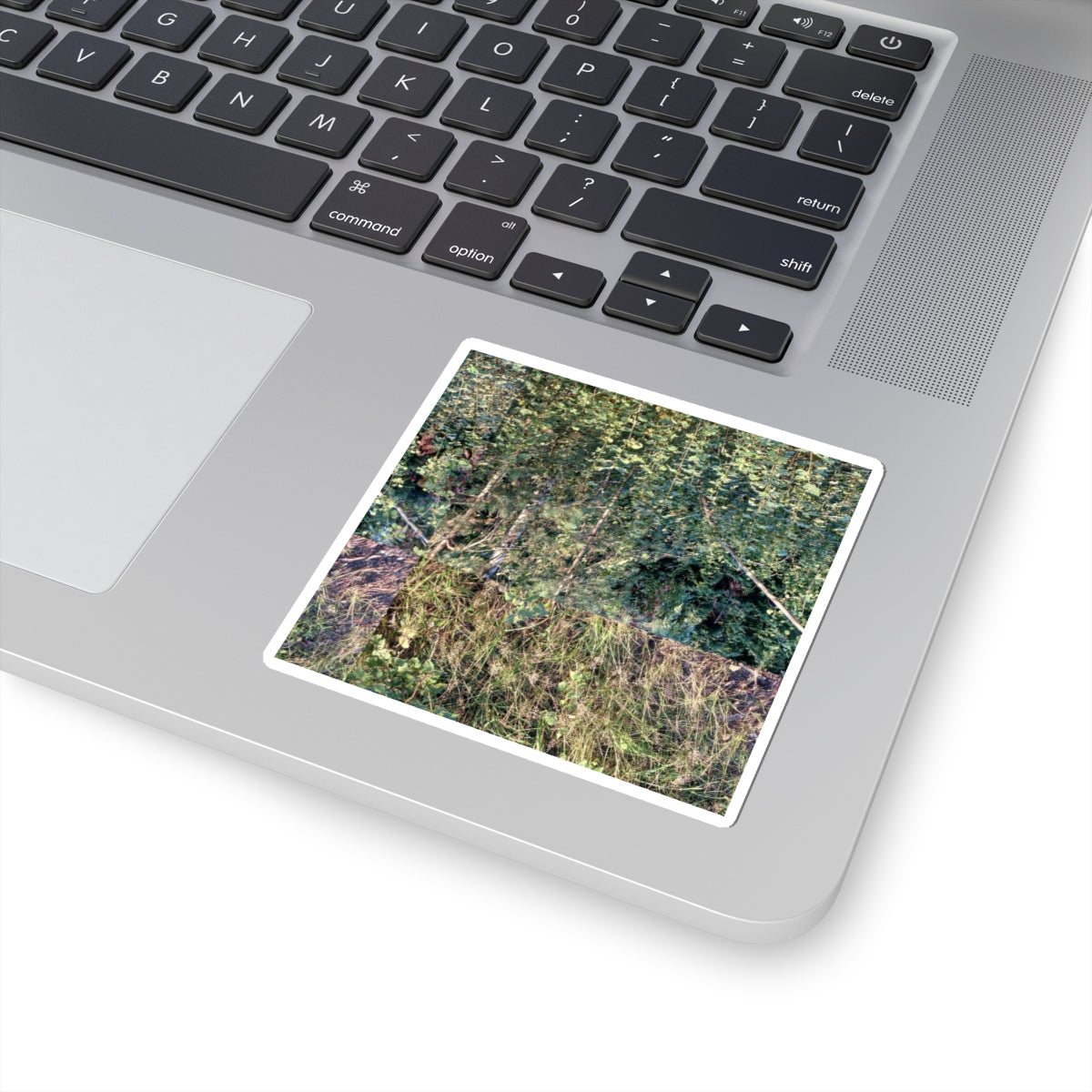 Nature Photo Sticker — Verdant Forest & Meadow Kiss-Cut Sticker