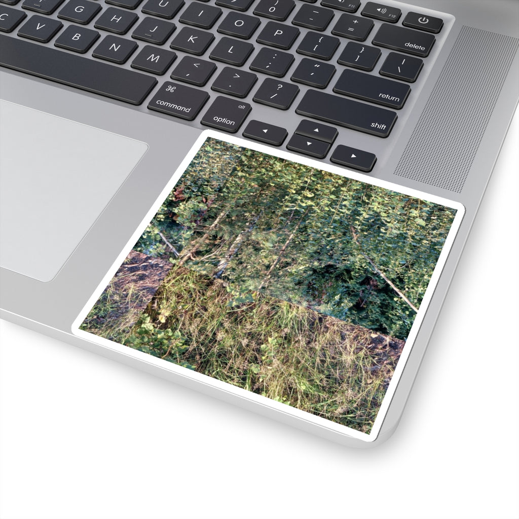 Nature Photo Sticker — Verdant Forest & Meadow Kiss-Cut Sticker