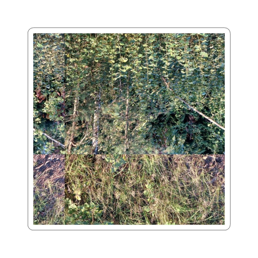 Nature Photo Sticker — Verdant Forest & Meadow Kiss-Cut Sticker