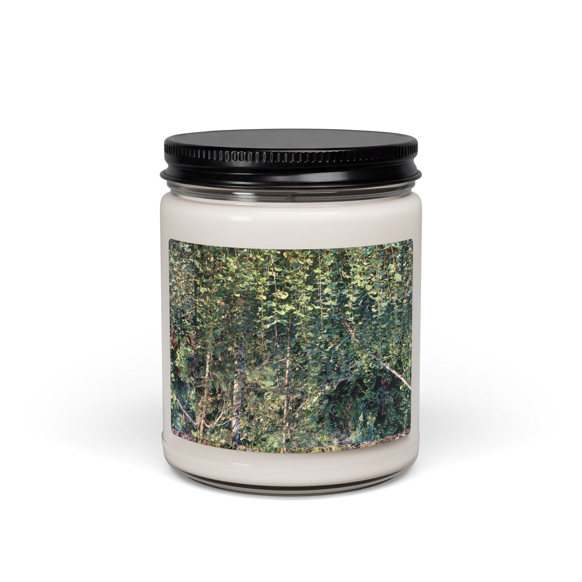 Forest Breeze Soy Candle — 9oz Scented Jar (Calming Woodland Aromas)