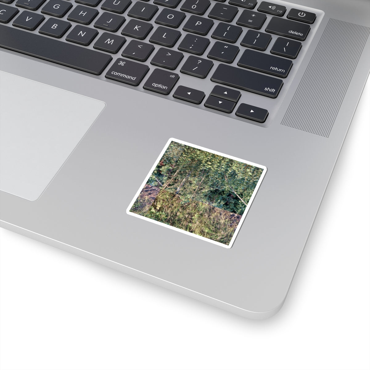 Nature Photo Sticker — Verdant Forest & Meadow Kiss-Cut Sticker